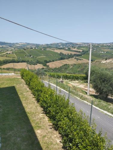 a row of bushes on the side of a road at Palme e vigne in Offida