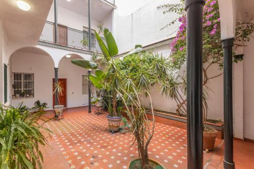 Pureza City Suite