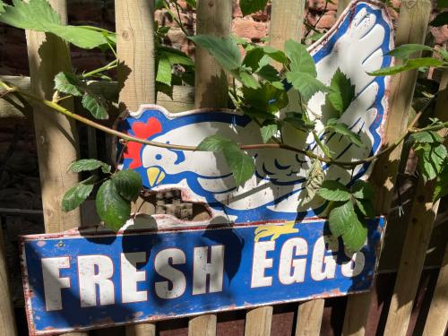 a sign on a fence that says fresh ego at Jugendstil-Hof in Langenlonsheim