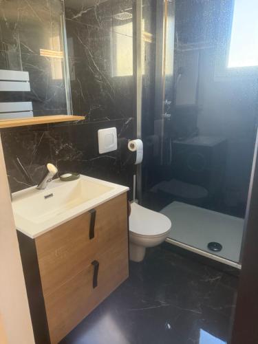 une salle de bain avec un lavabo, des toilettes et une douche dans l'établissement Appartement au cœur de Rouen, à Rouen
