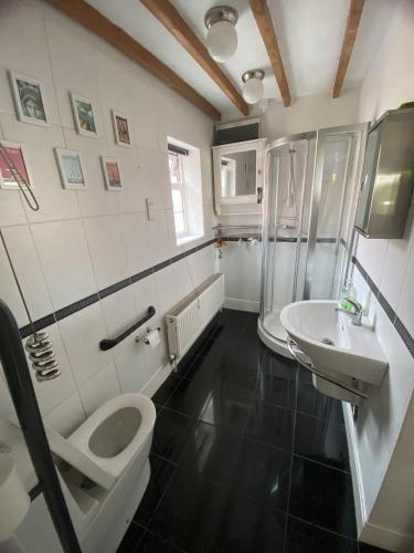 a bathroom with a toilet and a sink at Wellbet Farm in Swinderby