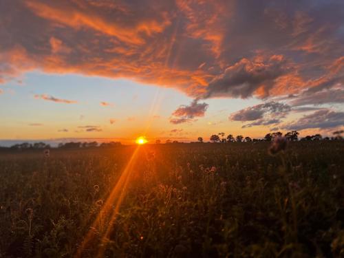 a field with the sunset in the background at Wellbet Farm in Swinderby