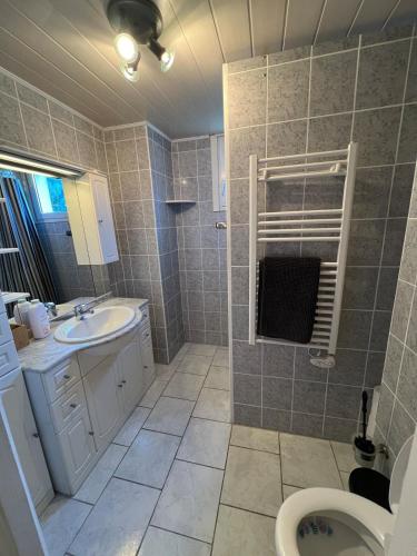 une salle de bain avec un lavabo et des toilettes dans l'établissement Appartement 3 chambres proche du centre, à Avignon