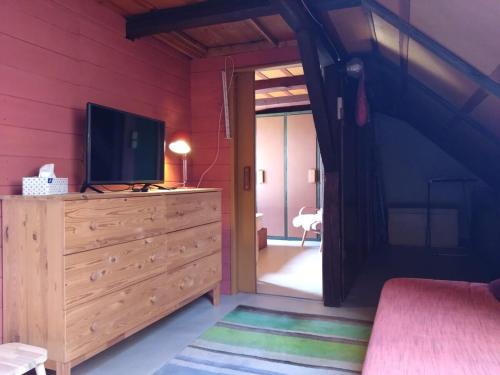 TV a/nebo společenská místnost v ubytování Charming Workers Cottage Jachymov