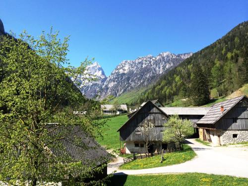 a view of a village with mountains in the background at Govc-Vršnik in Solčava