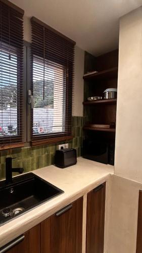 une cuisine avec un évier et un plan de travail dans l'établissement Appartement vue mer Vulpaghja 01, à Cargèse