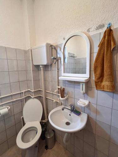a bathroom with a toilet and a sink and a mirror at Apartmani Dana in Vranje