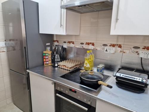 Kuchyň nebo kuchyňský kout v ubytování Ibra's Villa