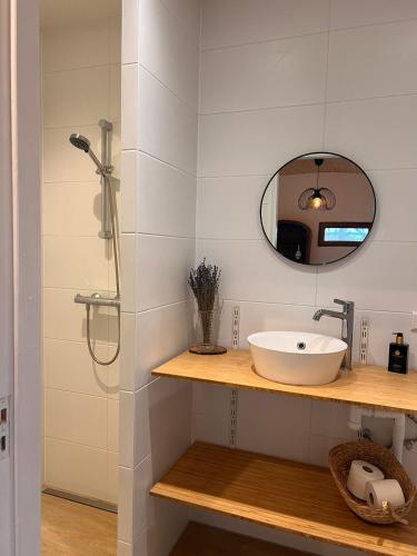 a bathroom with a sink and a shower at Luxurious Tiny House with HotTub in Rijsenhout