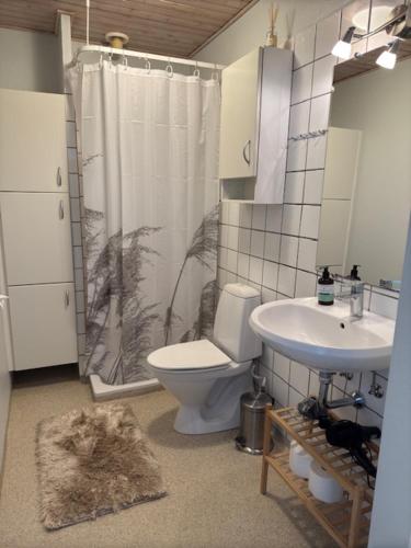 a bathroom with a toilet and a shower and a sink at Garden Apartment by the Sea in Sønderborg