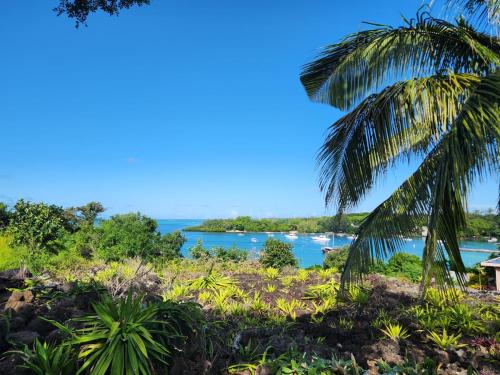 Beachfront Appartment