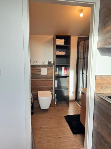 une salle de bain avec toilettes et lavabo dans l'établissement New appartement, à Turckheim