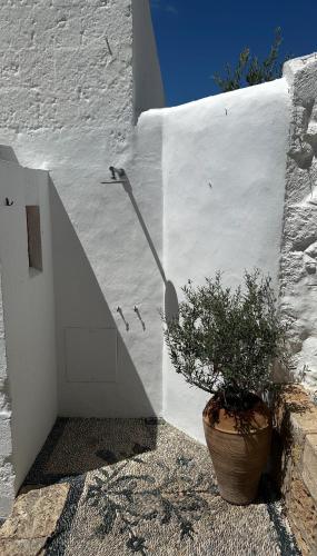 a plant in a pot next to a white wall at Villa Kali in Líndos