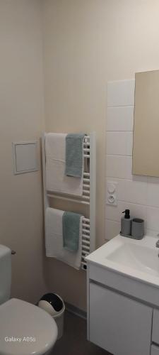 La salle de bains est pourvue de toilettes, d'un lavabo et de serviettes. dans l'établissement le valoria, à Villegouin