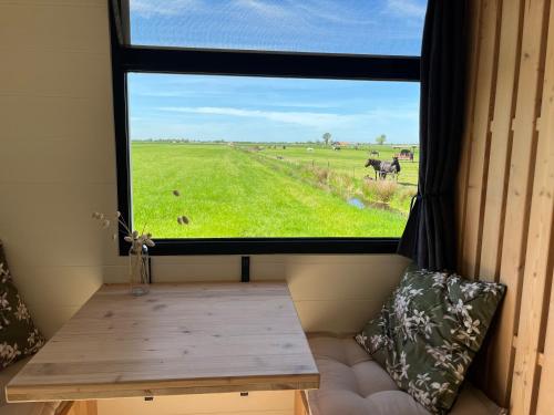 a window in a room with a view of a field at Pipowagen 'de Roerdomp' in Ossenzijl