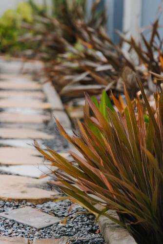 a row of plants on a stone walkway at Serene Guesthouse in Middelburg