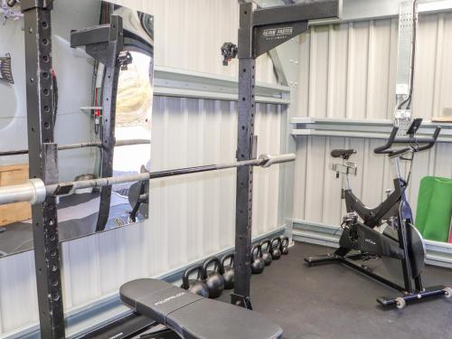 Fitness centrum a/nebo fitness zařízení v ubytování Birch