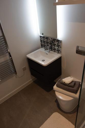 a bathroom with a white sink and a toilet at Cozy City Stay 2BR with Sofa Bed in Exmouth