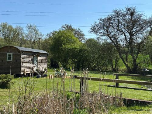 Mountbatten Shepherds hut & Buckhurst Shepherds hutにある庭