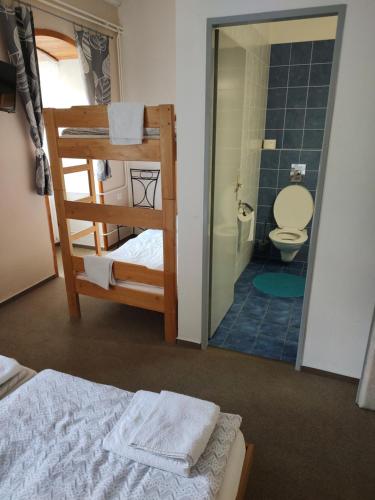a bedroom with a bunk bed and a bathroom with a toilet at PENZION "U MLÝNA" Mlýnská 678 in Litovel
