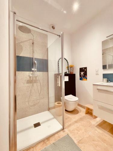 une salle de bain avec douche et toilettes dans l'établissement La maison de limpasse Arles Arènes, à Arles