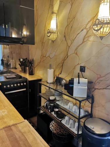 une cuisine avec un comptoir et un plan de travail dans l'établissement Appartement bordelais de charme, à Bordeaux