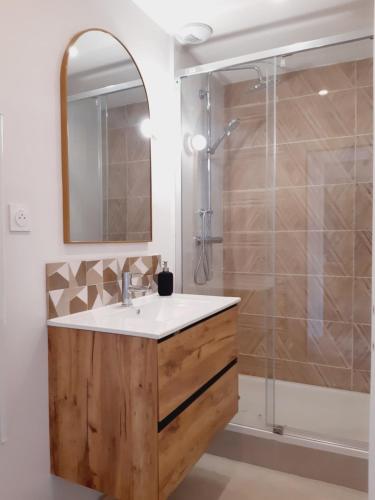 une salle de bain avec un lavabo et une douche dans l'établissement L'élégance aux portes des caves, à Reims