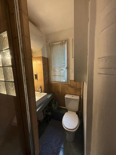 une petite salle de bain avec toilettes et lavabo dans l'établissement Appartement parisien 2 pièces, à Paris