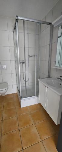 a bathroom with a shower and a sink at Ferienwohnung Bergweg in Termen