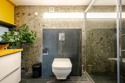 a bathroom with a toilet and a shower at Luxury Apartment with Pool in Xagħra