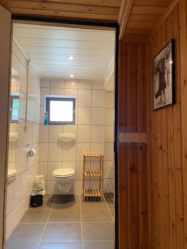 a bathroom with a toilet and a window at Charme de Fays in Harre