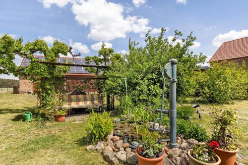 a garden with pots of plants in a yard at Unser Ferienhaus Sonnenhof Reudnitz in Friedland