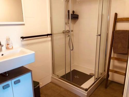 a shower with a glass door next to a sink at Westkapelle appartement en vakantiehuis in Westkapelle