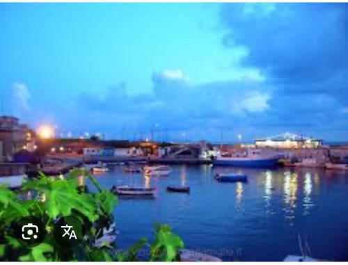 Phong cảnh thiên nhiên gần căn hộ