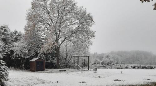 a snow covered park with a basketball hoop and a tree at Charme de Fays in Harre