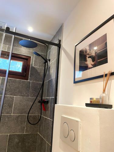 a bathroom with a shower with a glass door at Charme de Fays in Harre