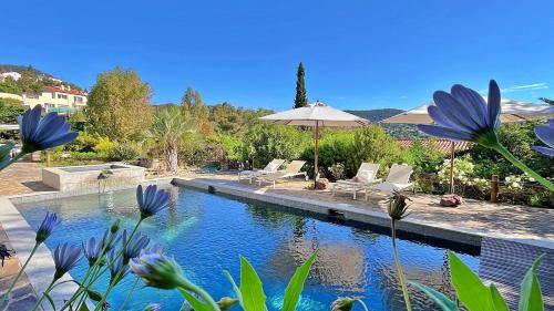 Villa Sasso Forte, swimming pool, jacuzzi and private cove