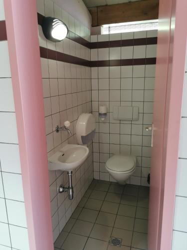 a bathroom with a toilet and a sink at Camping Melezza in Losone