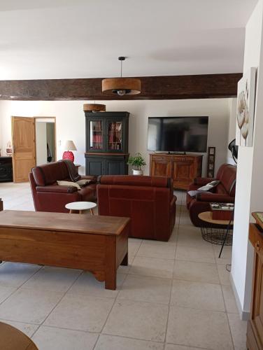 un salon avec des canapés et une télévision à écran plat dans l'établissement le verger 16km du circuit du Mans 8 min de l'autoroute, à Parigné-lʼÉvêque