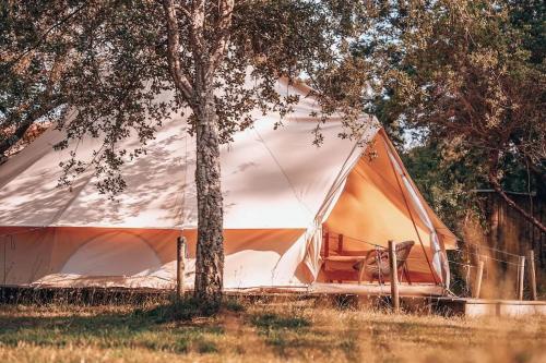une tente assise dans un champ à côté d'un arbre dans l'établissement Family surfcamp Messanges, à Messanges