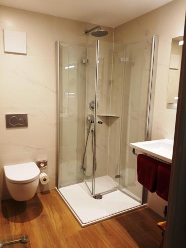 a bathroom with a shower with a toilet and a sink at Hotel Garni Jägerhof in Sigmaringen