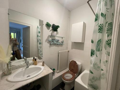 une salle de bain avec un lavabo, des toilettes et un miroir dans l'établissement Cosy Amber - 2CH - Place Verdun & Parking, à Pau