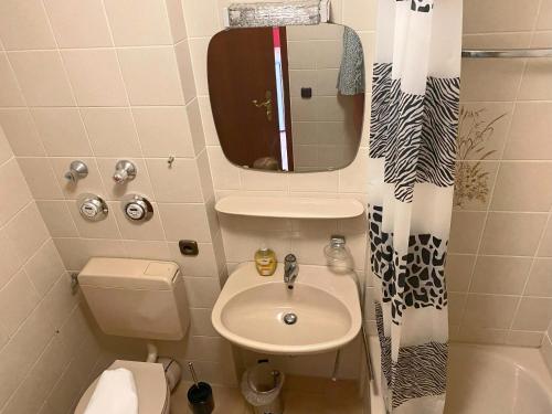 アシャウ・イム・キームガウにあるGschwendtnerhof App24 Nöthenの洗面台とトイレ付きの小さなバスルーム