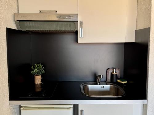 un bancone da cucina con lavello e microonde di Studio 1 pièce 3 couchages MARINE DE SANT AMBROGGIO a Lumio