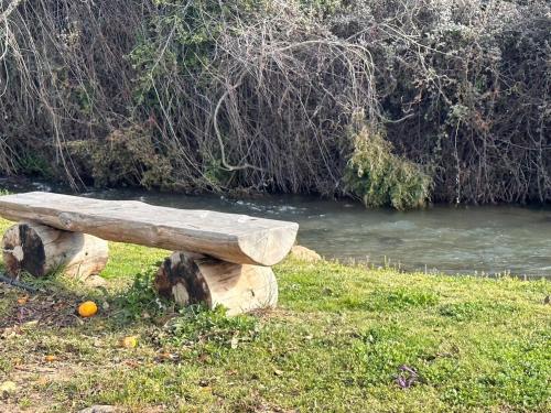 a wooden bench sitting on the grass next to a river at על הנחל בקיבוץ in Hagoshrim