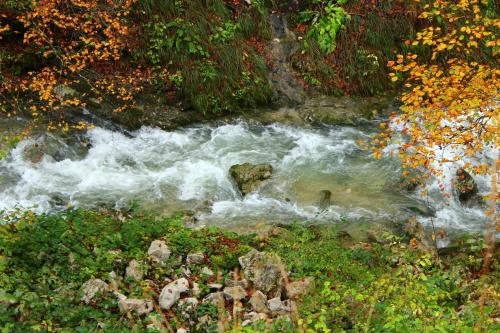 a stream of water with rapids in a forest at Auberge Des Chasseurs in Échenevex