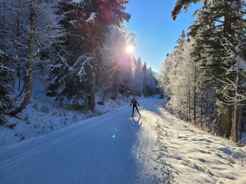 a person cross country skiing down a snow covered road at Auberge Des Chasseurs in Échenevex