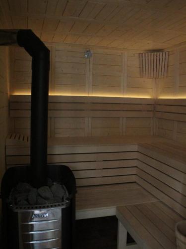 a inside of a sauna with a stove at Casa Lucia in Dămuc