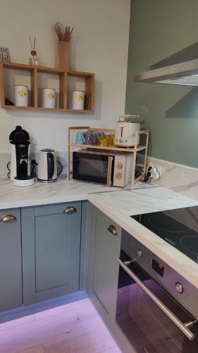 une cuisine avec un comptoir avec un micro-ondes dans l'établissement Maison avec borne de recharge N2, à Rolampont