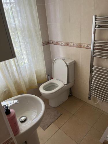 a bathroom with a toilet and a sink at Chilton Manor House in Murston